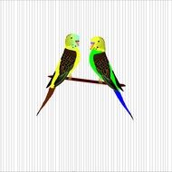 Illustration of Colorful Parrots