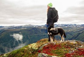 tourist with dog in the picturesque mountains of norway