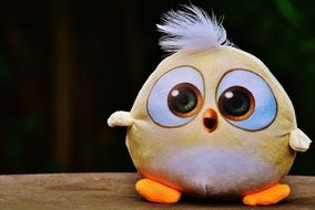 bird with surprised look