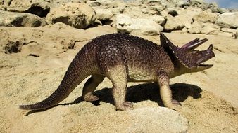 Triceratops, model of Dinosaur on rock