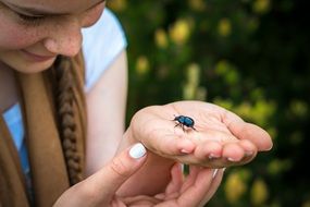 closeup photo of girl holds a dung beetle on her hand