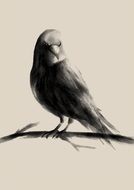 Raven oriental traditional Watercolor Drawing