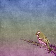 purple background with bird