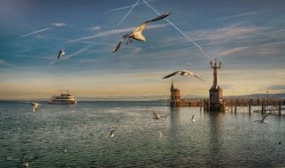 flock of seagulls flying over the port