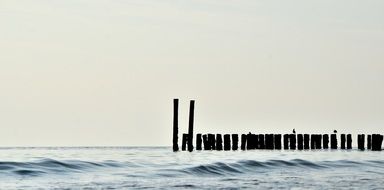 wooden poles in the ocean near the shore