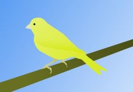 Canary Bird Warrant Canary Road