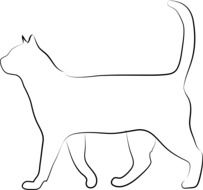 silhouette of a cat on the white background