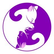 bright yin yang symbol with cats