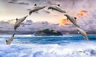 dolphin arch over the ocean