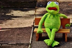 green toad sits on a wooden bench in the park
