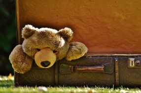 Soft toy in the shape of a bear in an old suitcase