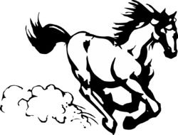 Picture of horse running