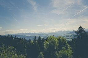 panorama of highlands in a natural park