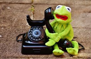 green frog holding a telephone receiver
