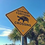 Sign Tortoise Crossing