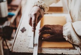 beekeeper cuts honeycombs