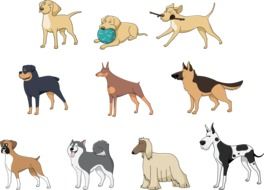 variety of dogs in graphic representation