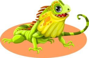 Green iguana clipart