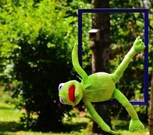 hanging soft kermit close-up on blurred background