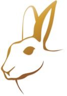Rabbit Head, golden outline