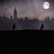 dark silhouettes of birds on the rooftop