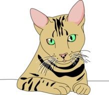 Animal Cat as a drawing