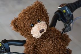 Brown Teddy Bear on handlebar of Bike