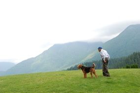 man with a dog on a green hill