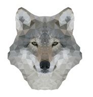 wolf head on white background