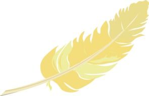 yellow bird feather on a white background