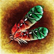 drawing of green red feathers