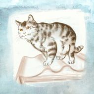 Drawing of the striped cat