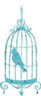 painted parrot in a cage