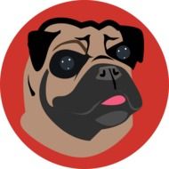 Pug Dog Vector drawing