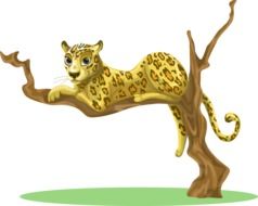 Leopard Sitting on Tree drawing