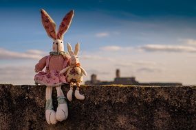 cute toy rabbits