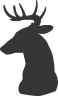 silhouette of a wild deer with horns