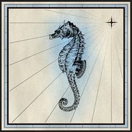 incredibly beautiful Seahorse drawing