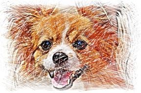 Dog Chihuahua Color drawing