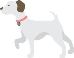 Grey puppy clipart