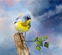 Northern Parula Bird drawing