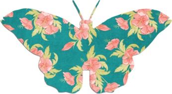 green butterfly in pink flowers as a picture for clipart