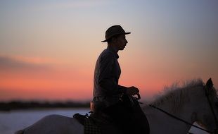 Guardian on the horse