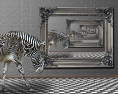 photomontage zebra in the mirror