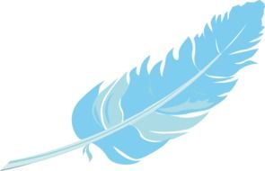 graphic image of a blue bird feather