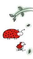 Drawing of Ladybugs