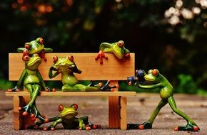 not a real frogs is sitting on a bench