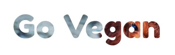 picture of the go Vegan Slogan