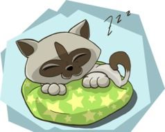 clipart of the sleeping cat