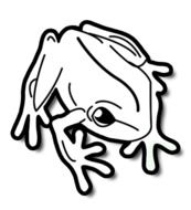 Tropical frog clipart